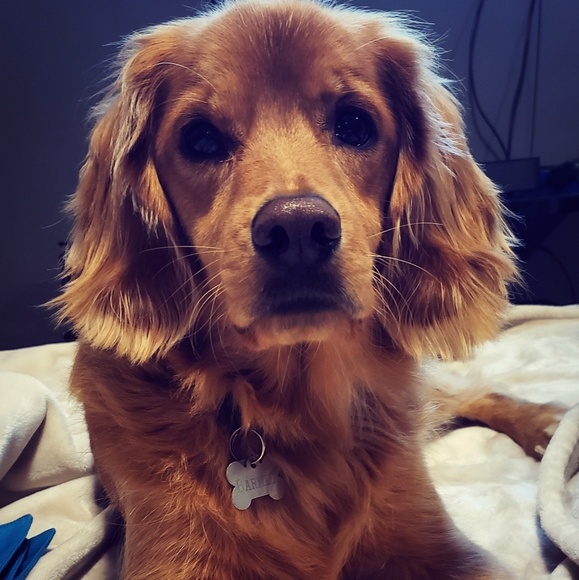 Meet your Posher, Melissa - Picture 1 of 1